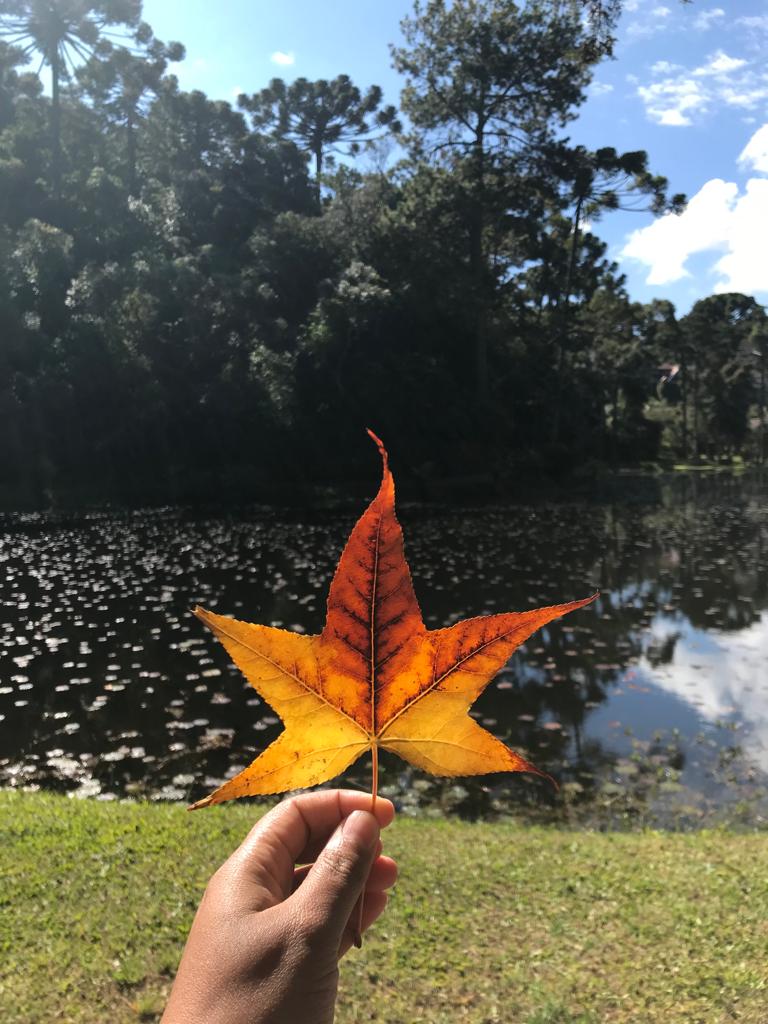 Minha primeira viajem sozinha em Campos do Jordão