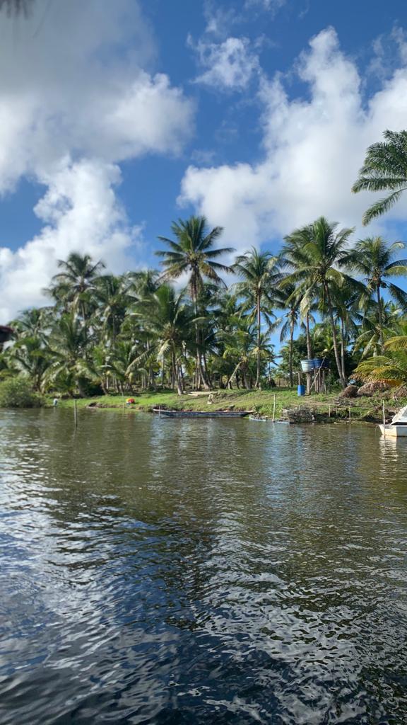 Ilha de Tinharé