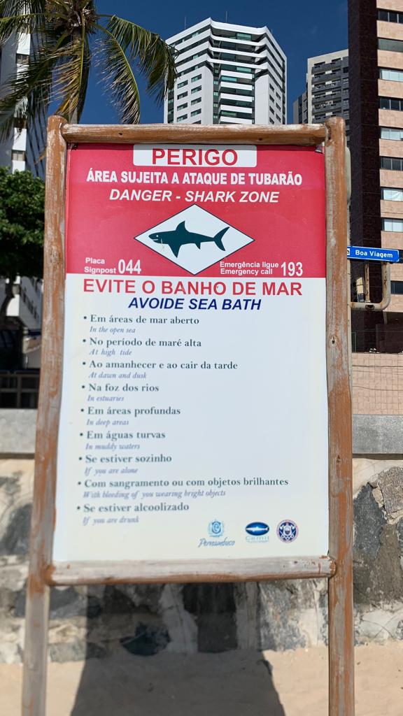 Alerta sobre os tubarões na praia de Boa Viagem