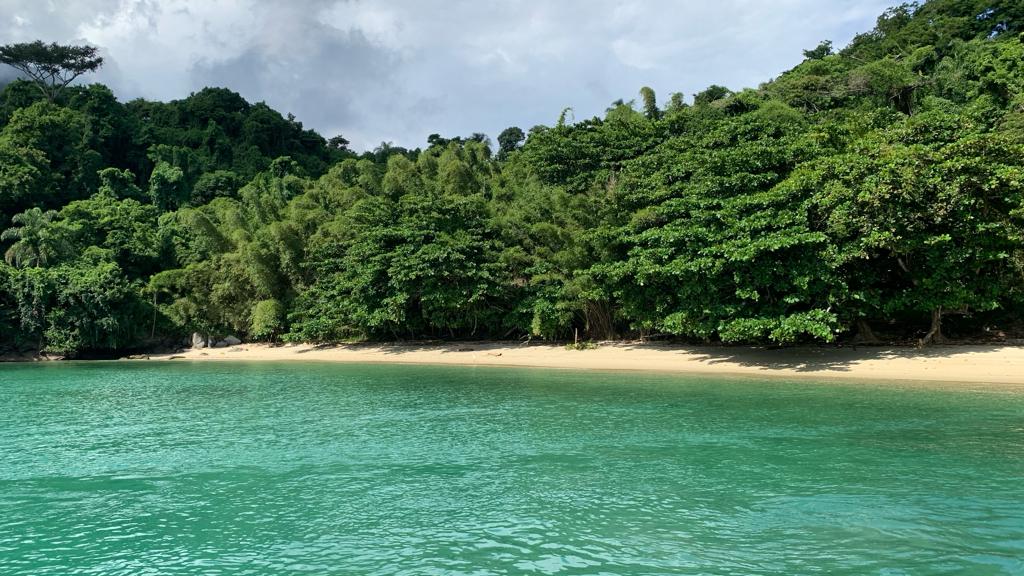 Praia da Baleia